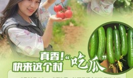 真香吃瓜日记在线观看免费,揭秘娱乐圈幕后真相，免费在线观看大揭秘