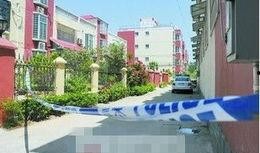 河南小区爆料视频大全集,真实生活瞬间，揭开社区生活面纱