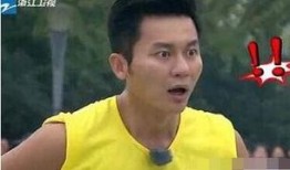 李晨娱乐爆料视频最新一期,揭秘娱乐圈幕后真相