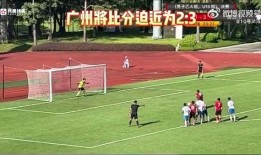 辽宁爆料假球视频播放大全,揭秘假球视频大全，真相触目惊心